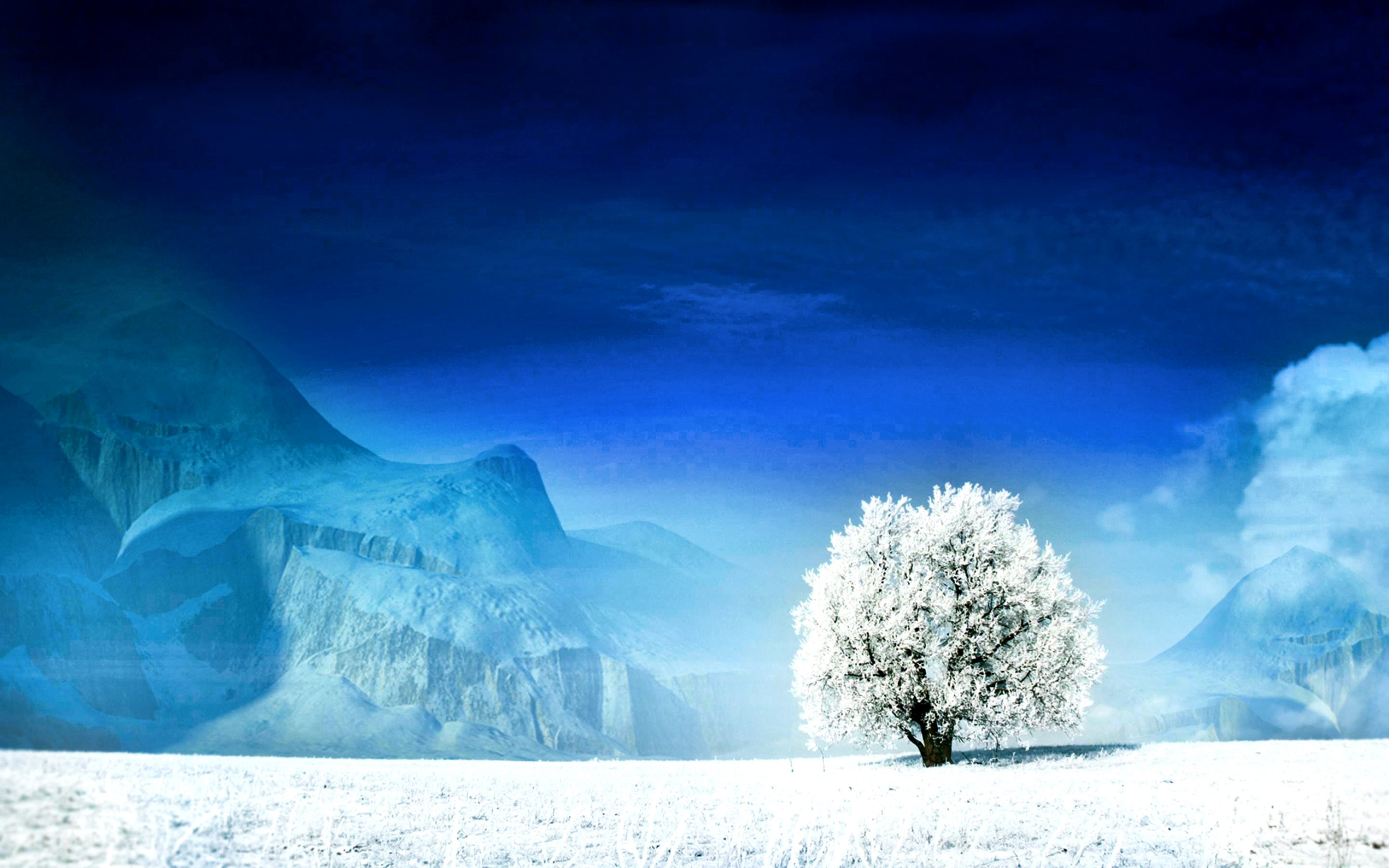 世界网球赛事志愿者退役支持计划首批落实，网球退役年龄最大